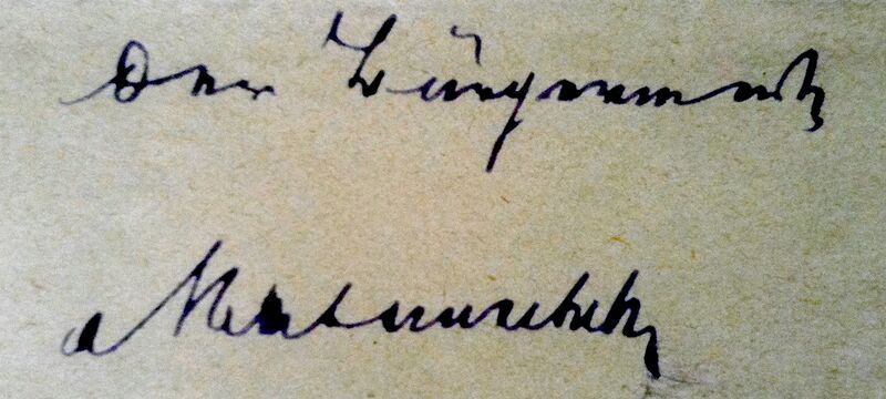 Datei:1880Z0000^000^.P..^Wenzel Matauschek ~1831, Unterschrift^.JPG